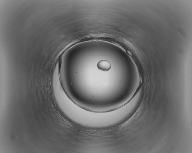 X0000113221361200909171546