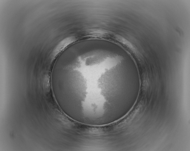 X0000113221362200909171546