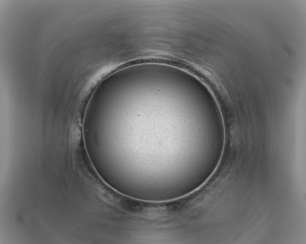 X0000113221363200909171546