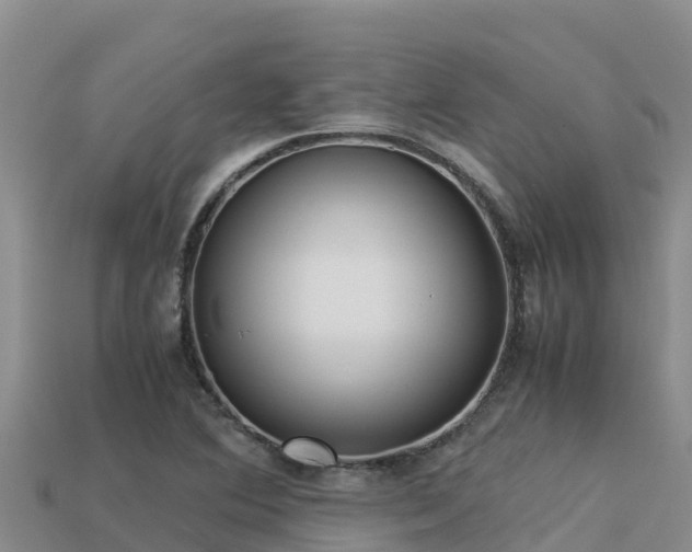 X0000113221364200909171546