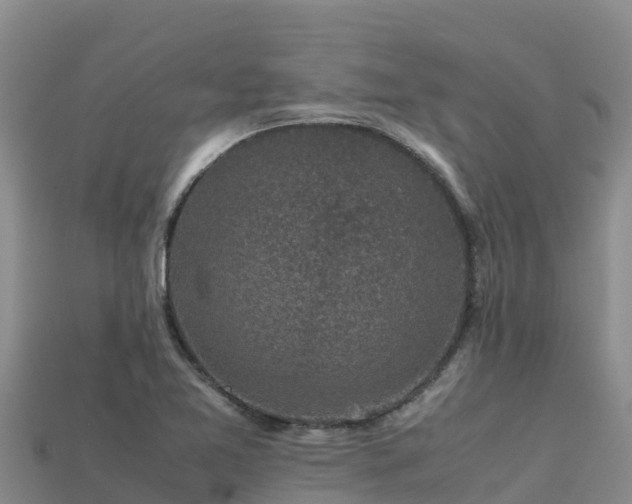 X0000113221365200909171546