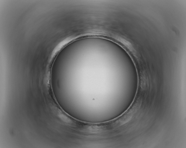 X0000113221366200909171546