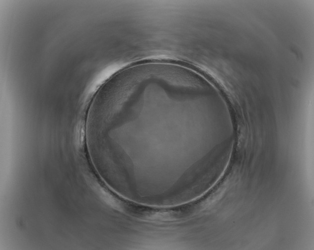 X0000113221367200909171546