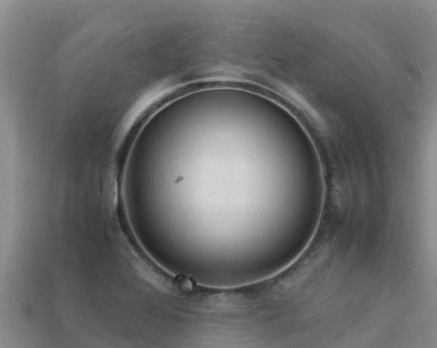 X0000113221368200909171546