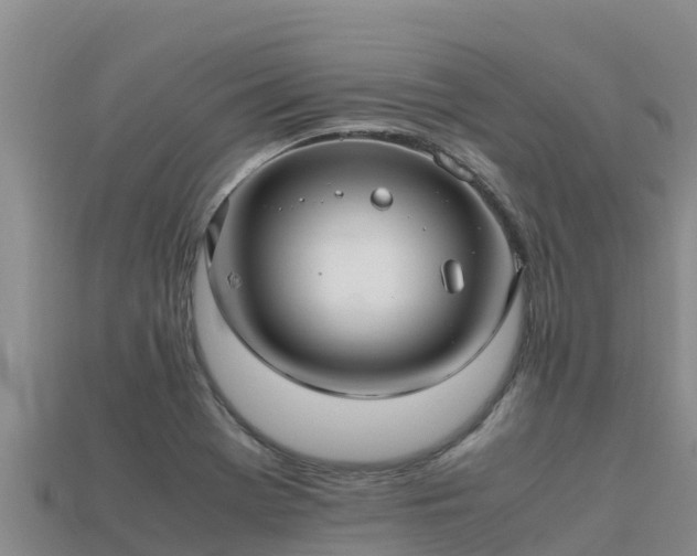 X0000113221369200909171546