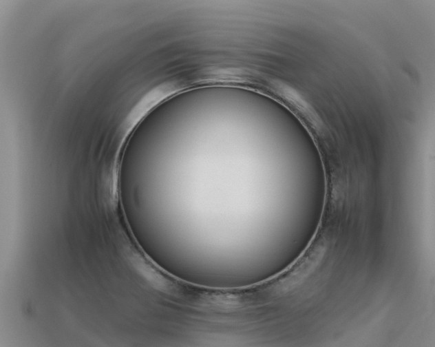 X0000113221370200909171546