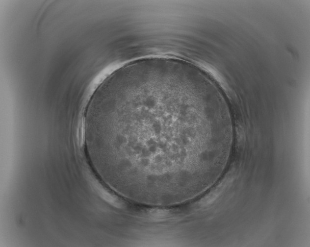 X0000113221371200909171546