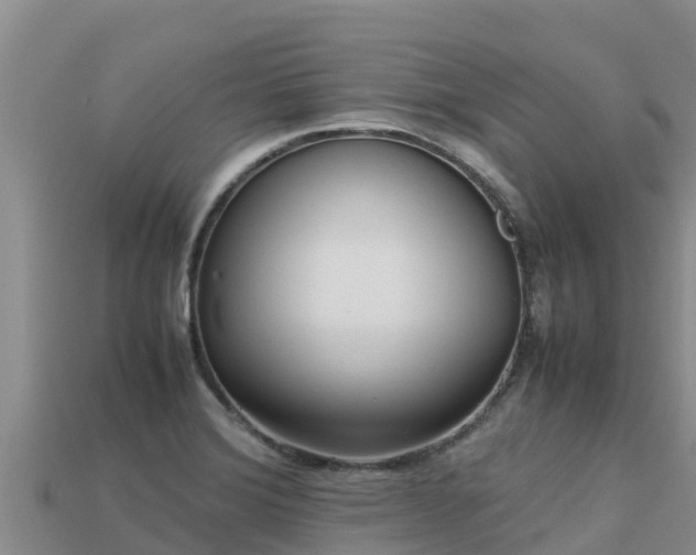 X0000113221372200909171546