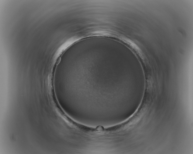 X0000113221373200909171546