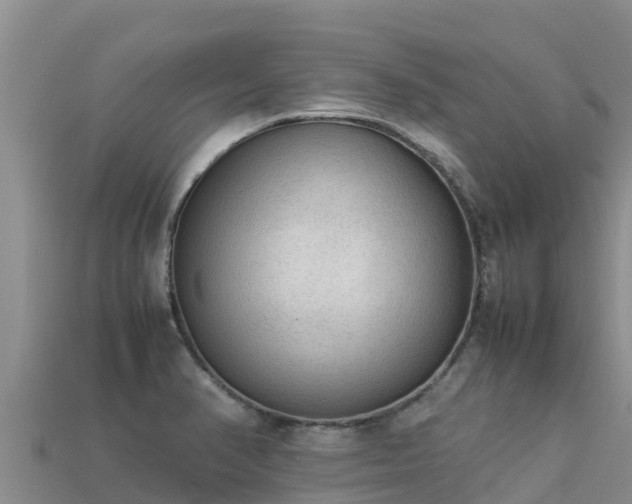 X0000113221374200909171546