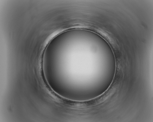 X0000113221375200909171546