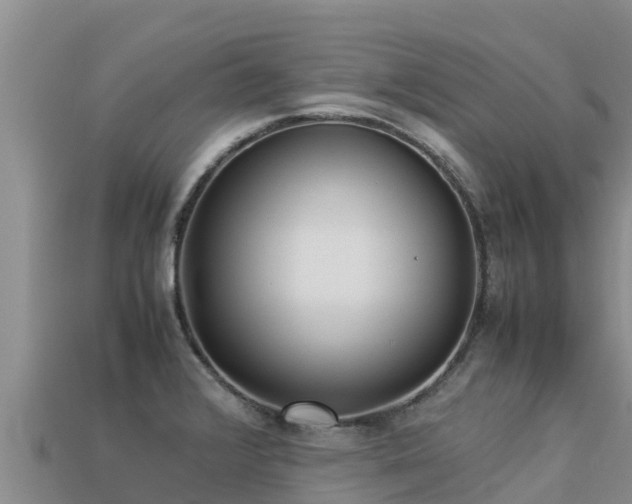 X0000113221376200909171546