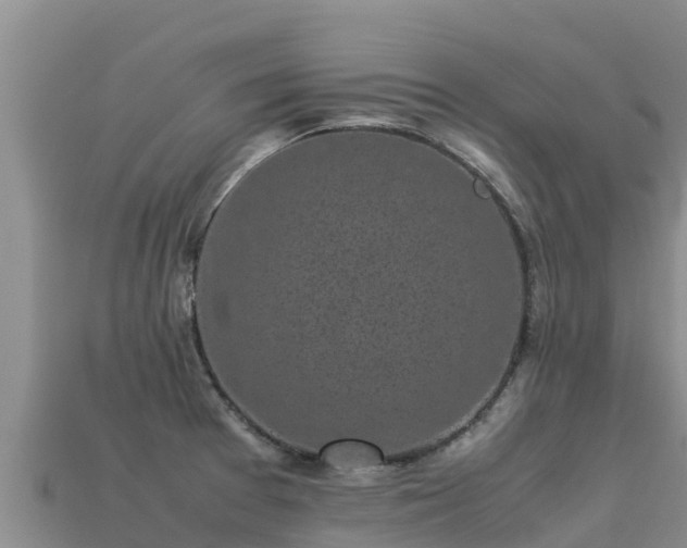 X0000113221377200909171546