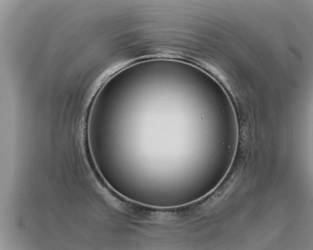 X0000113221379200909171546