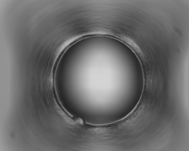 X0000113221380200909171546