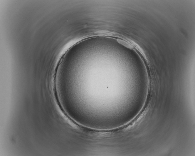 X0000113221381200909171546