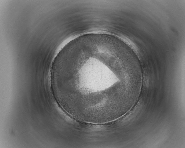 X0000113221382200909171546