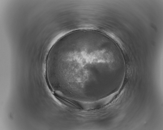 X0000113221383200909171546