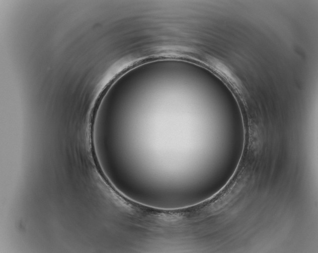 X0000113221384200909171546