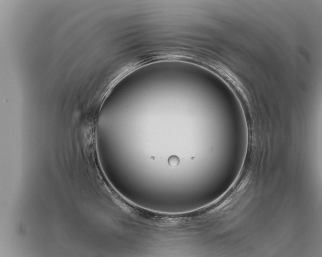 X0000113221385200909171546