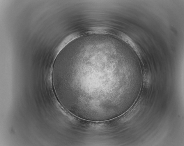 X0000113221386200909171546