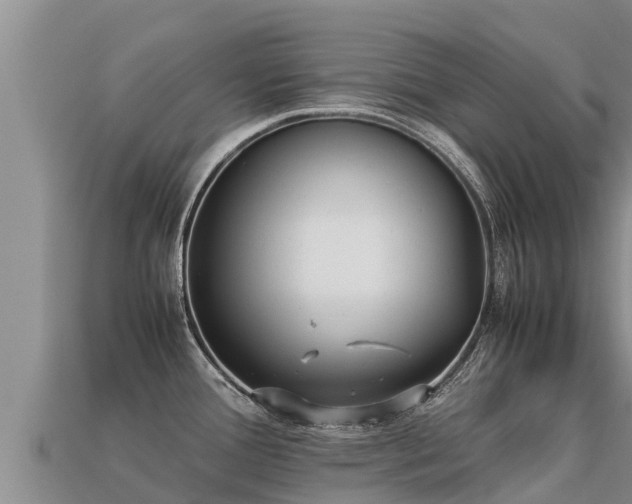 X0000113221388200909171546