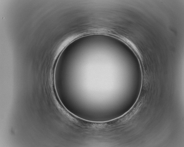 X0000113221389200909171546