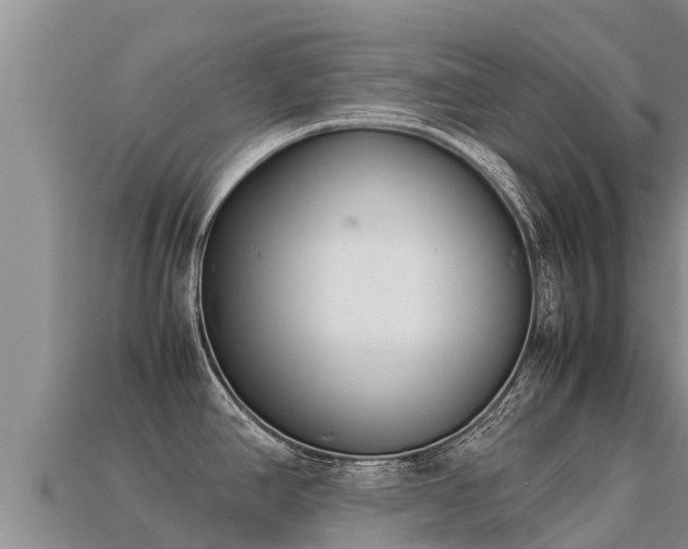 X0000113221390200909171546