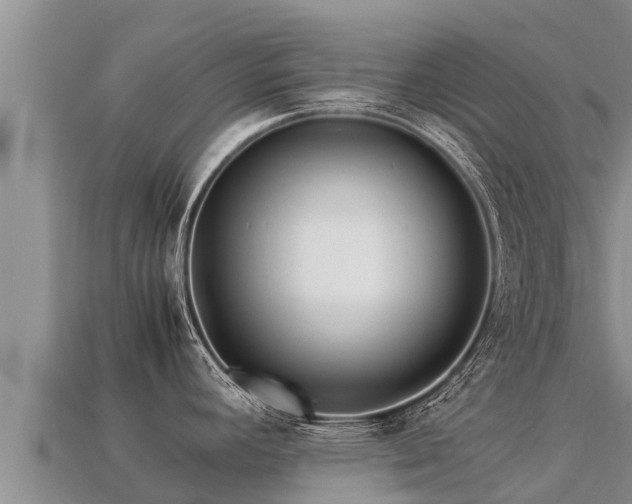 X0000113221392200909171546