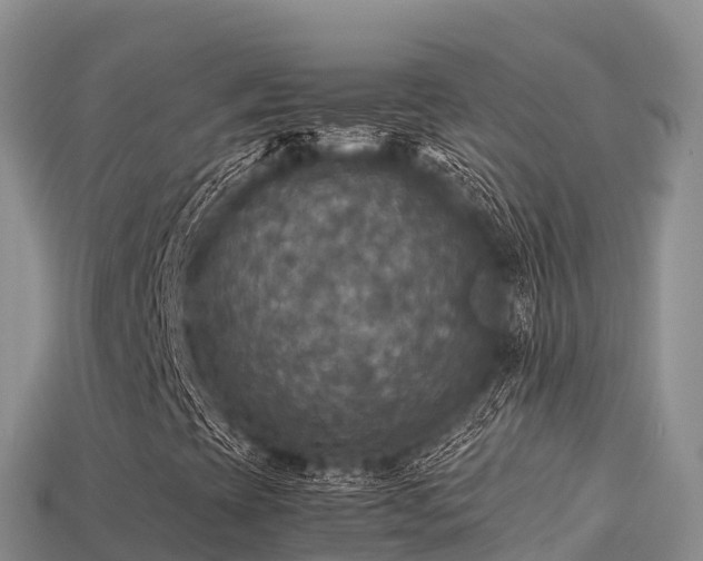 X0000113221393200909171545