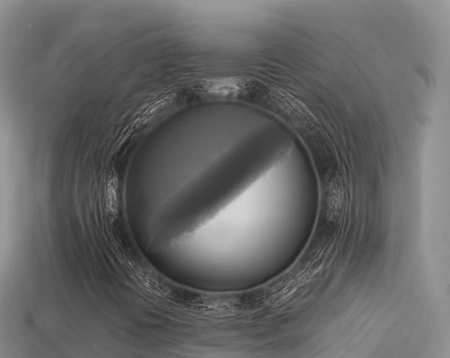 X0000113221394200909171545