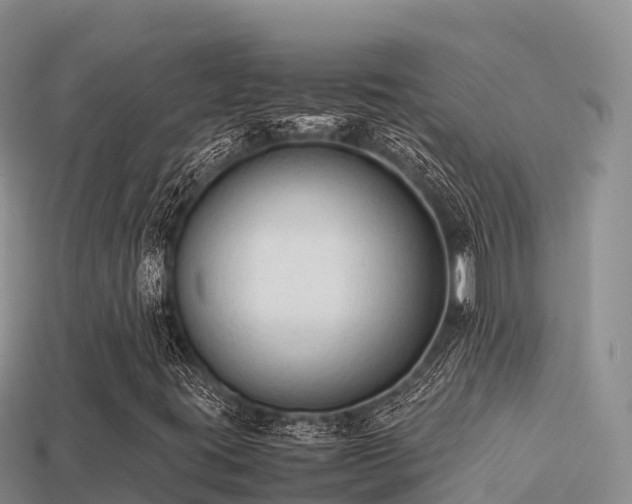 X0000113221395200909171545