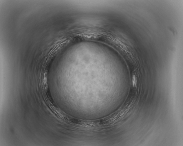 X0000113221396200909171545