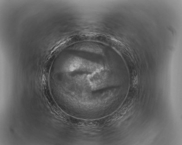 X0000113221397200909171545