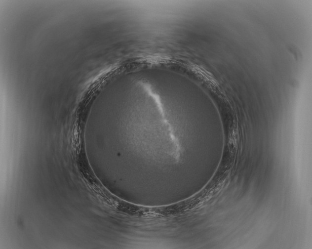 X0000113221398200909171545