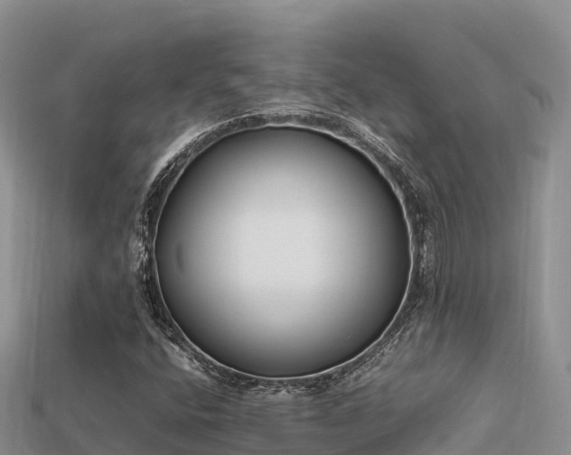 X0000113221400200909171545