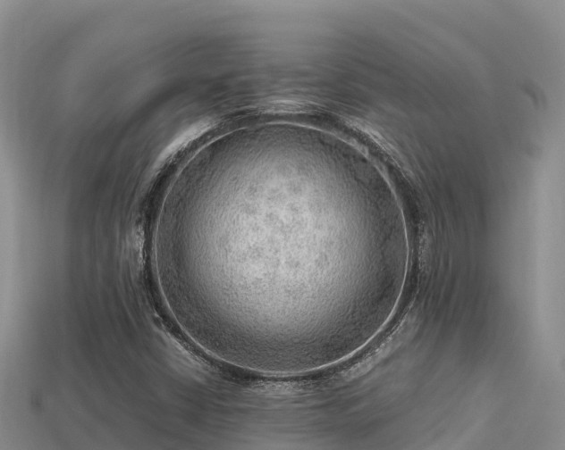 X0000113221402200909171545