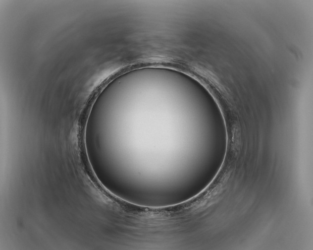 X0000113221404200909171545