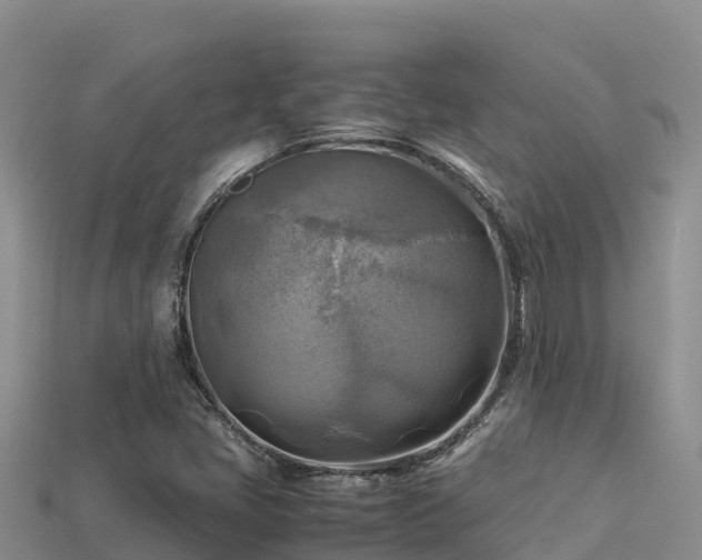 X0000113221405200909171545