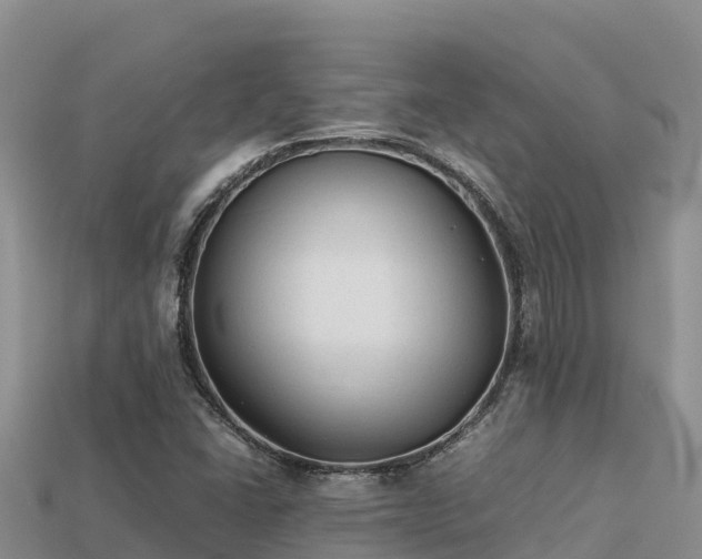 X0000113221406200909171545