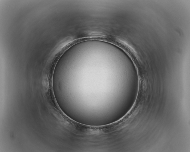 X0000113221407200909171545