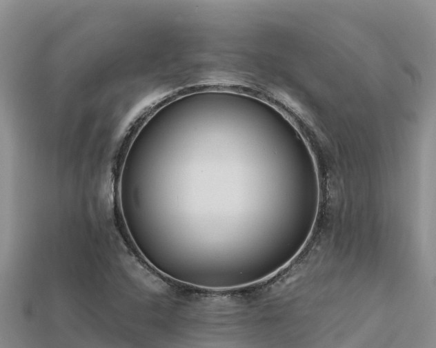 X0000113221408200909171545