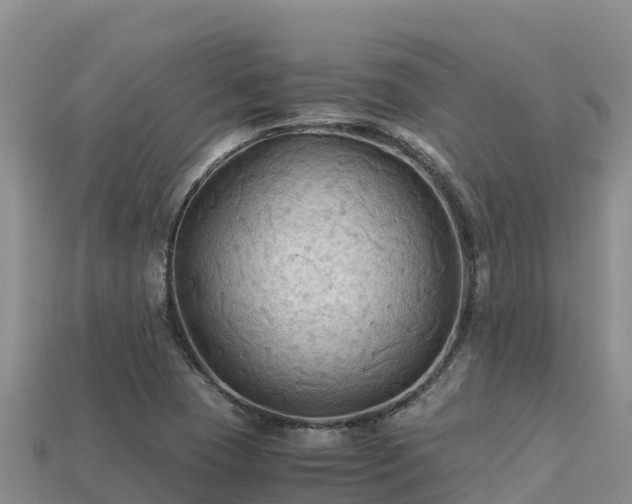 X0000113221409200909171545