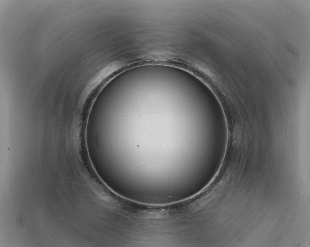 X0000113221410200909171545