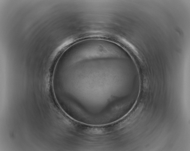 X0000113221411200909171545