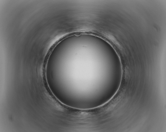 X0000113221412200909171545