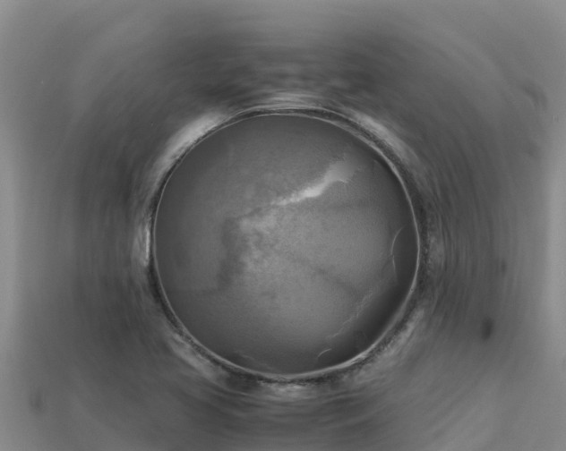 X0000113221413200909171545