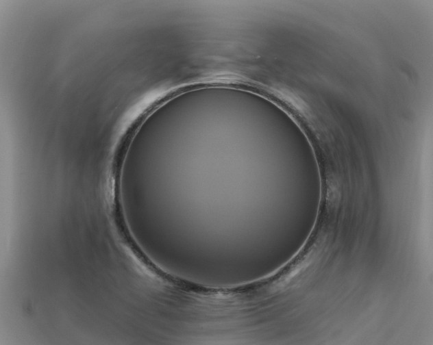 X0000113221414200909171545