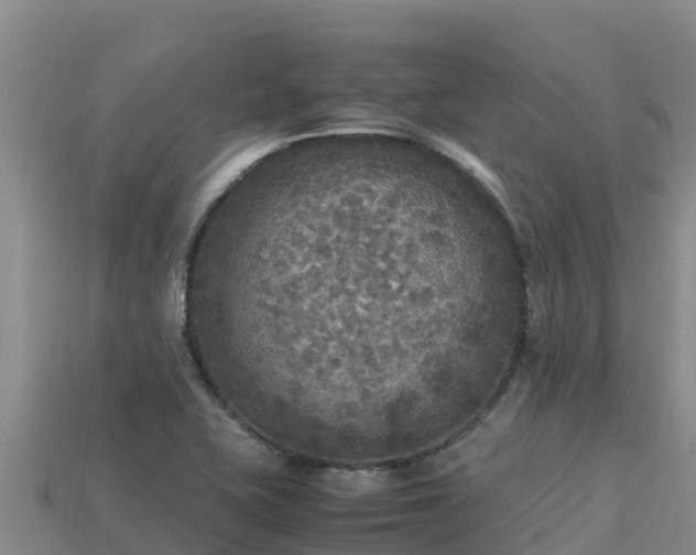 X0000113221415200909171545