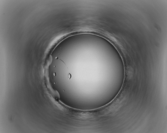 X0000113221416200909171545